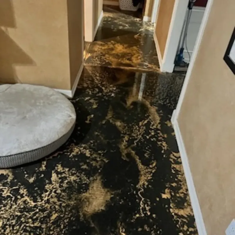 Wet hallway floor with standing water and debris, C&A Roofing & Construction