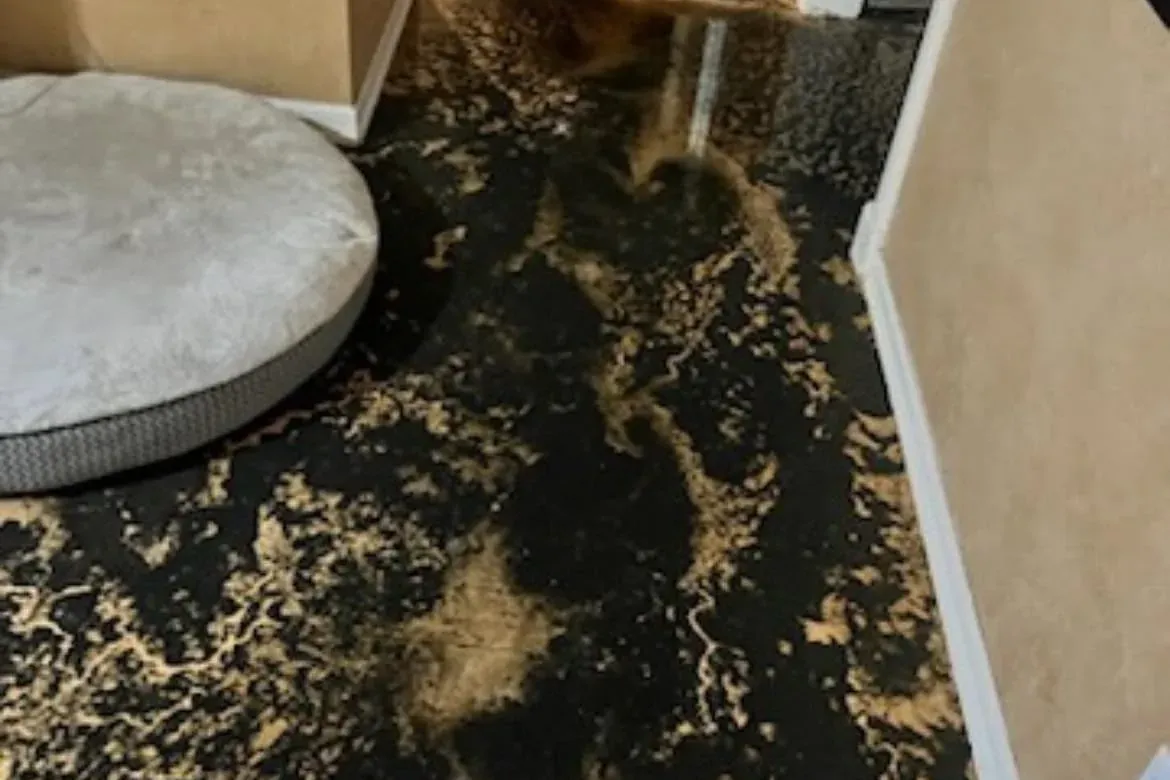 Wet hallway floor with standing water and debris, C&A Roofing & Construction