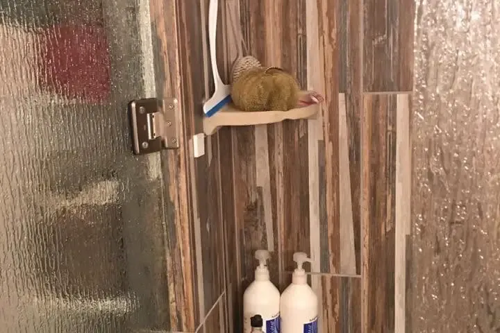 Wood-look tile shower wall with corner shelves and toiletries, C&A Roofing & Construction
