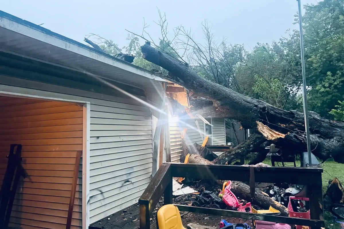 Fallen tree crushing house roof over deck, C&A Roofing & Construction